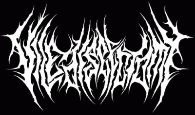 logo Vile Discectomy